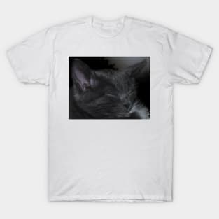 Cat Napping T-Shirt